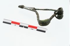 Foto von Bronzepaukenfibel (NHMW-PRAE-025898)